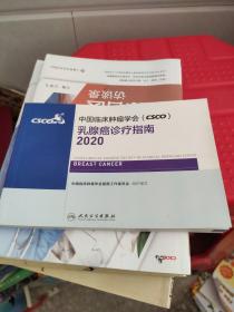 中国临床肿瘤学会（CSCO）乳腺癌诊疗指南2020