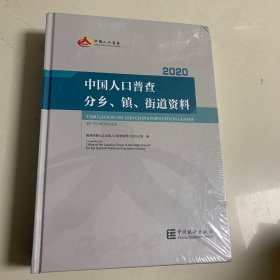 中国人口普查分乡、镇、街道资料 2020