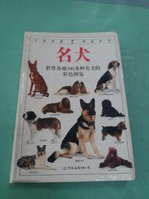 名犬：全世界300多种名犬的彩色图鉴