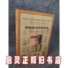 钢铁是怎样炼成的