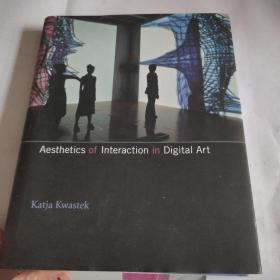 Aesthetics of Interaction in Digital Art,外文原版精装英文书，