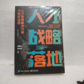 人才战略落地：人才发展解决方案与标杆实践