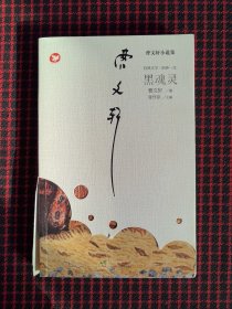 保正版！内页全新！黑魂灵