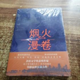 烟火漫卷（迟子建最新长篇力作，书写城市烟火，照亮人间悲欢）