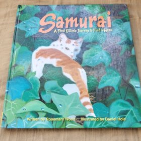 Samurai A Feral Kitten’s Journey to Find a Home