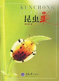 昆虫之美