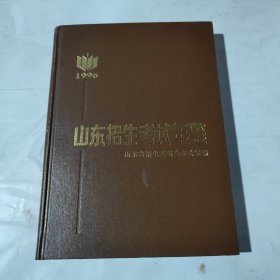 山東招生考試年鑒1996
