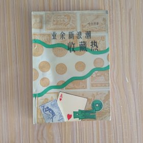 业余新浪潮:收藏热