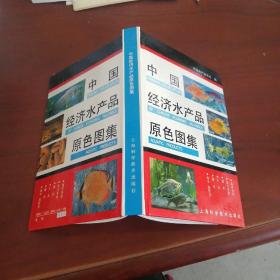 中国经济水产品角色图集