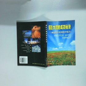 摄影大师的成功秘诀 铸造照片的视觉冲击力  汤姆 麦凯著 司大宇译 浙江摄影出版社