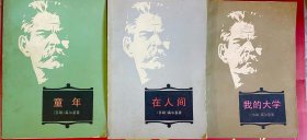 童年 在人间 我的大学