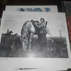 草地诗篇 （徐匡版画作品）