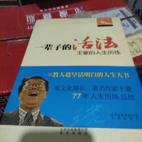 一辈子的活法：王蒙的人生历练