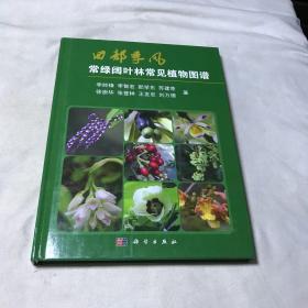 西部季风常绿阔叶林常见植物图谱