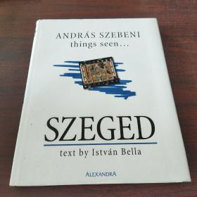 Andras Szebeni things seen...SZEGED（英文原版）