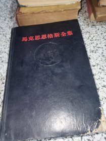 马克思恩格斯全集 第13卷 黑皮