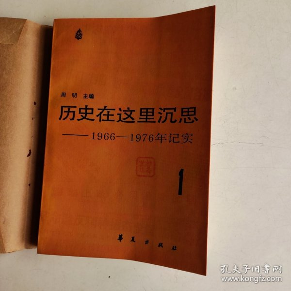 历史在这里沉思 ——1966—1976年记实