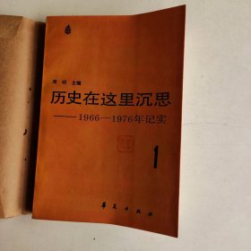 历史在这里沉思 ——1966—1976年记实