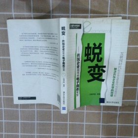 蜕变：传统企业如何向电子商务转型