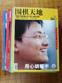 围棋天地2003年13本（缺6—15、17）