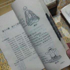 达摩洗髓易筋经——少林空悟禅师嫡传 一版一印