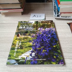 藤本皇后鐵線(xiàn)蓮
