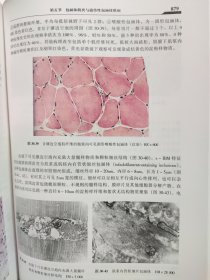 精装 现代神经内科学 李大年 原箱