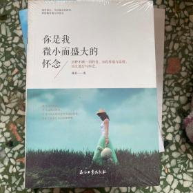你是我微小而盛大的怀念
