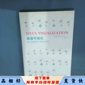 數(shù)據(jù)可視化 40位數(shù)據(jù)設(shè)計師訪談錄  美 史蒂文 布勞恩 廣西師大出版社