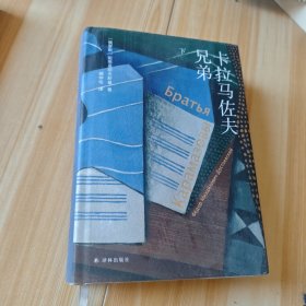 卡拉马佐夫兄弟下册（陀思妥耶夫斯基精选集 臧仲伦译本）