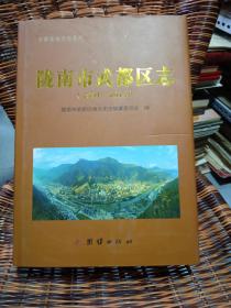 陇南市武都区志