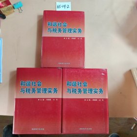 和谐社会与税务管理实务 上中下 全三册