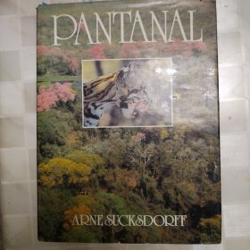 PANTANAL UM PARAISO PERDIDO西班牙语