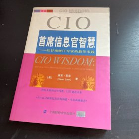 首席信息官智慧：硅谷顶级IT专家的最佳实践——企业领袖书架