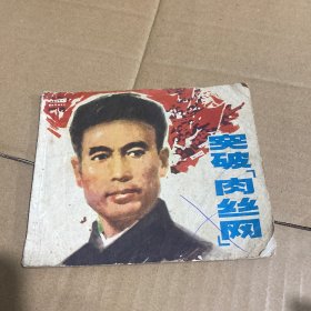 突破肉丝网