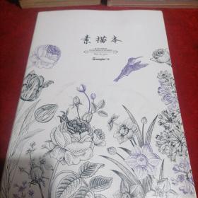 空白素描本