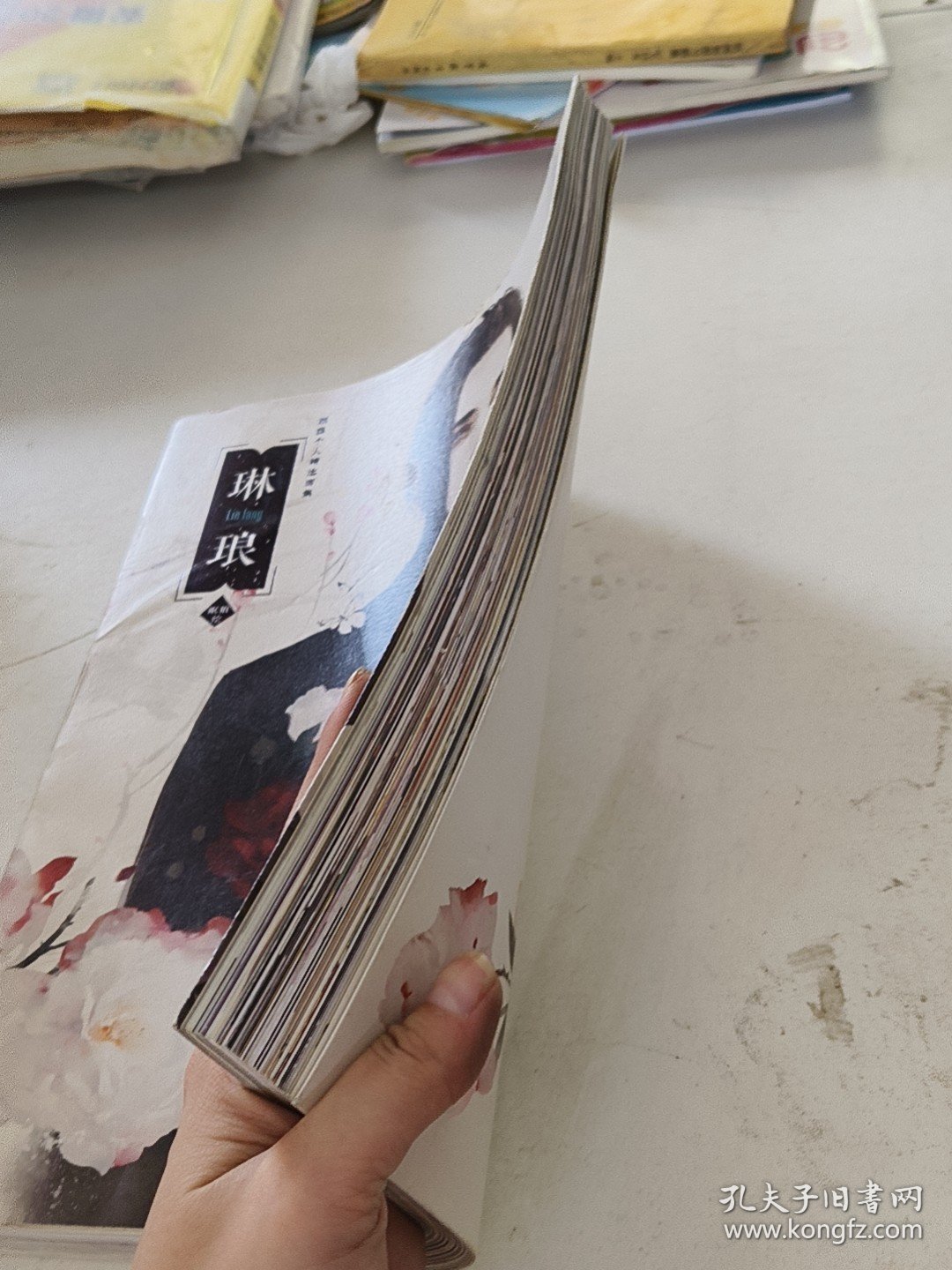 琳琅（书壳有轻微破损）