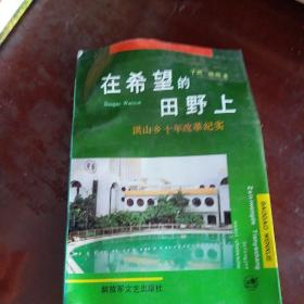 《在希望的田野上》洪山乡十年改纪实