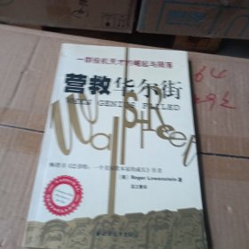 营救华尔街：一群投机天才的崛起与陨落