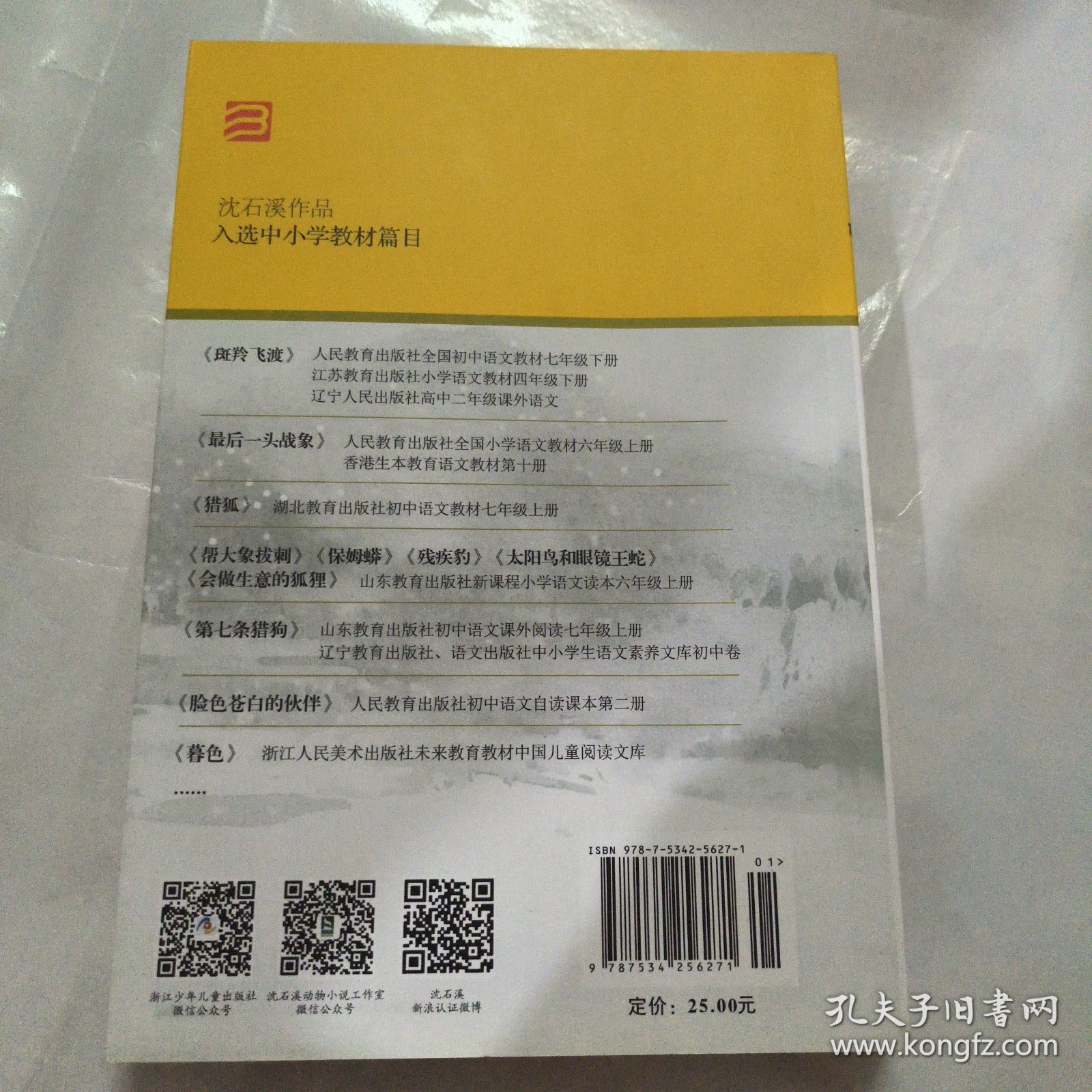 骆驼王子