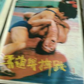 80年代杂志，柔道与摔跤，体育丛刊创刊号，2本合售如图