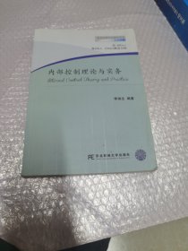 内部控制理论与实务 无字迹