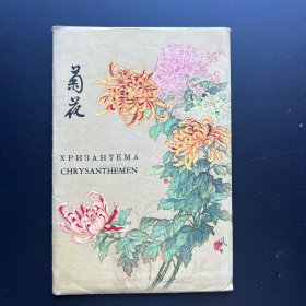上海人美出版老明信片《菊花》全套存11枚