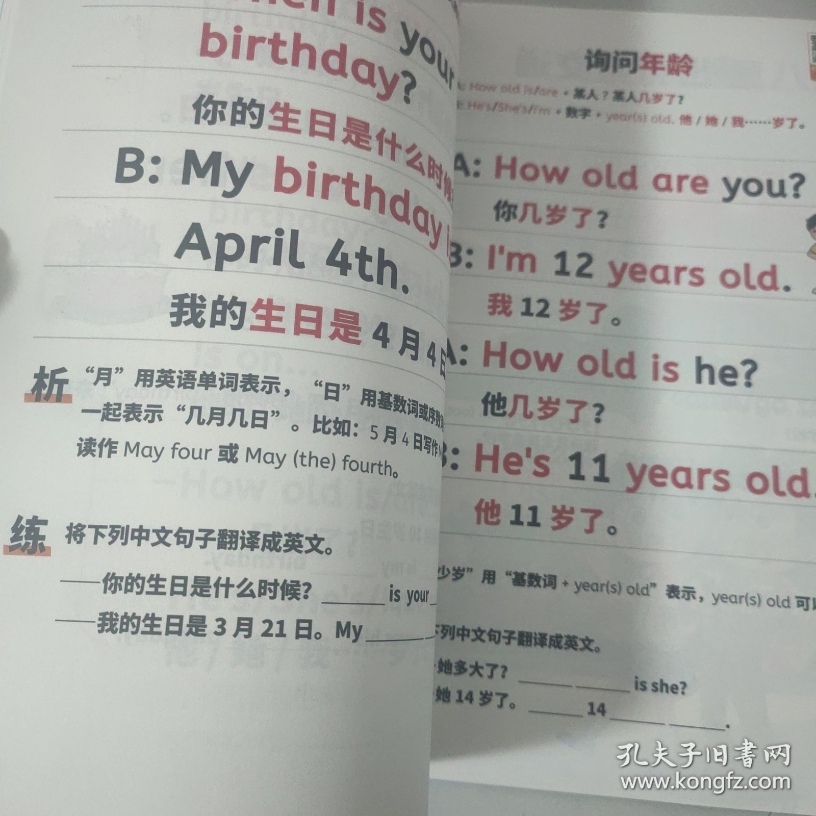 小学英语句式一本通 小学英语知识大全句子训练专项练习句子积累母句母题图解速记书专项训练