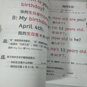 小学英语句式一本通 小学英语知识大全句子训练专项练习句子积累母句母题图解速记书专项训练