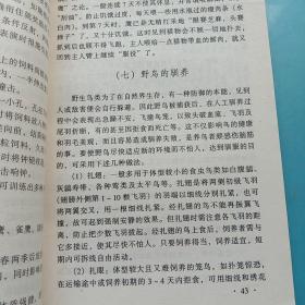 现代家庭生活丛书_家庭养鸟