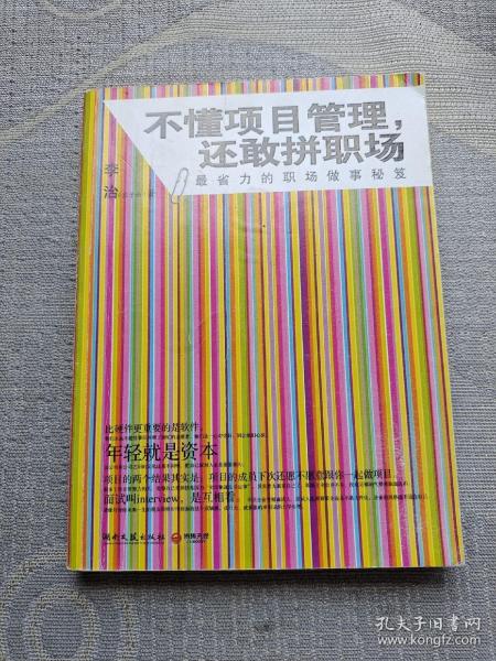 不懂项目管理，还敢拼职场：最省力的职场做事秘籍