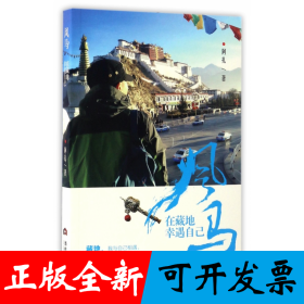 风马(在藏地幸遇自己)