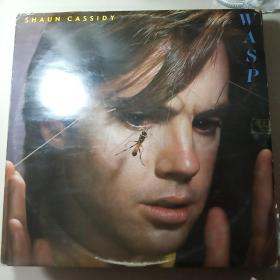 1980年环球唱片：shaun cassidy