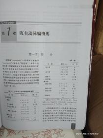 腹主动脉瘤：外科名家精品系列